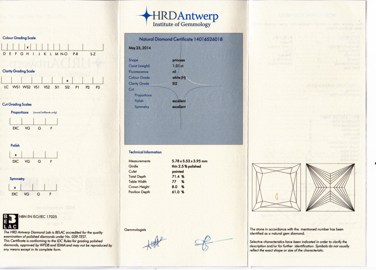 Princess Rail Solitaire Ring Yellow Gold